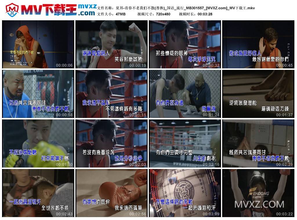 夏邦-青春不老我们不散(替换)_国语_流行_MB301557